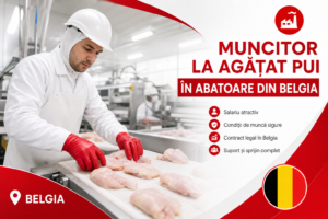 muncitor agățat pui vii