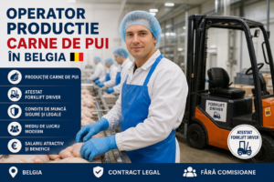 Operator productie carne pui cu atestat forklift driver in Belgia