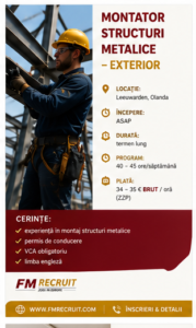 Montator Structuri Metalice Exterior