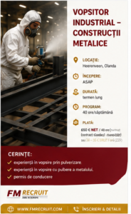Vopsitor industrial – construcții metalice