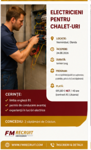 Locuri de muncă în Olanda 14 electricieni challet