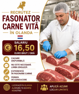 Locuri de muncă în Olanda 4 fasonator carne vita in Olanda