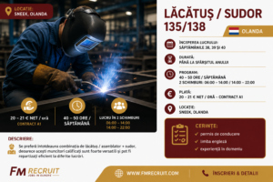 Locuri de muncă în Olanda 8 lăcătuș sudor 135/138 Olanda