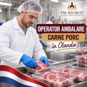 Locuri de muncă în Europa pentru români 3 ambalare carne de porc