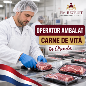 Locuri de muncă în Europa pentru români 4 ambalare carne de vită